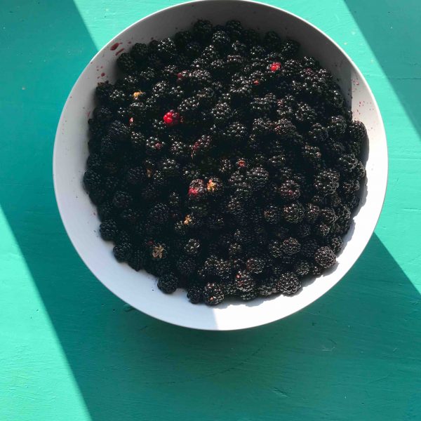 confiture-de-mure confiture-de-mure