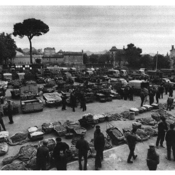 marché-des-maraichers-à-Saint-Rémy-de-Provence