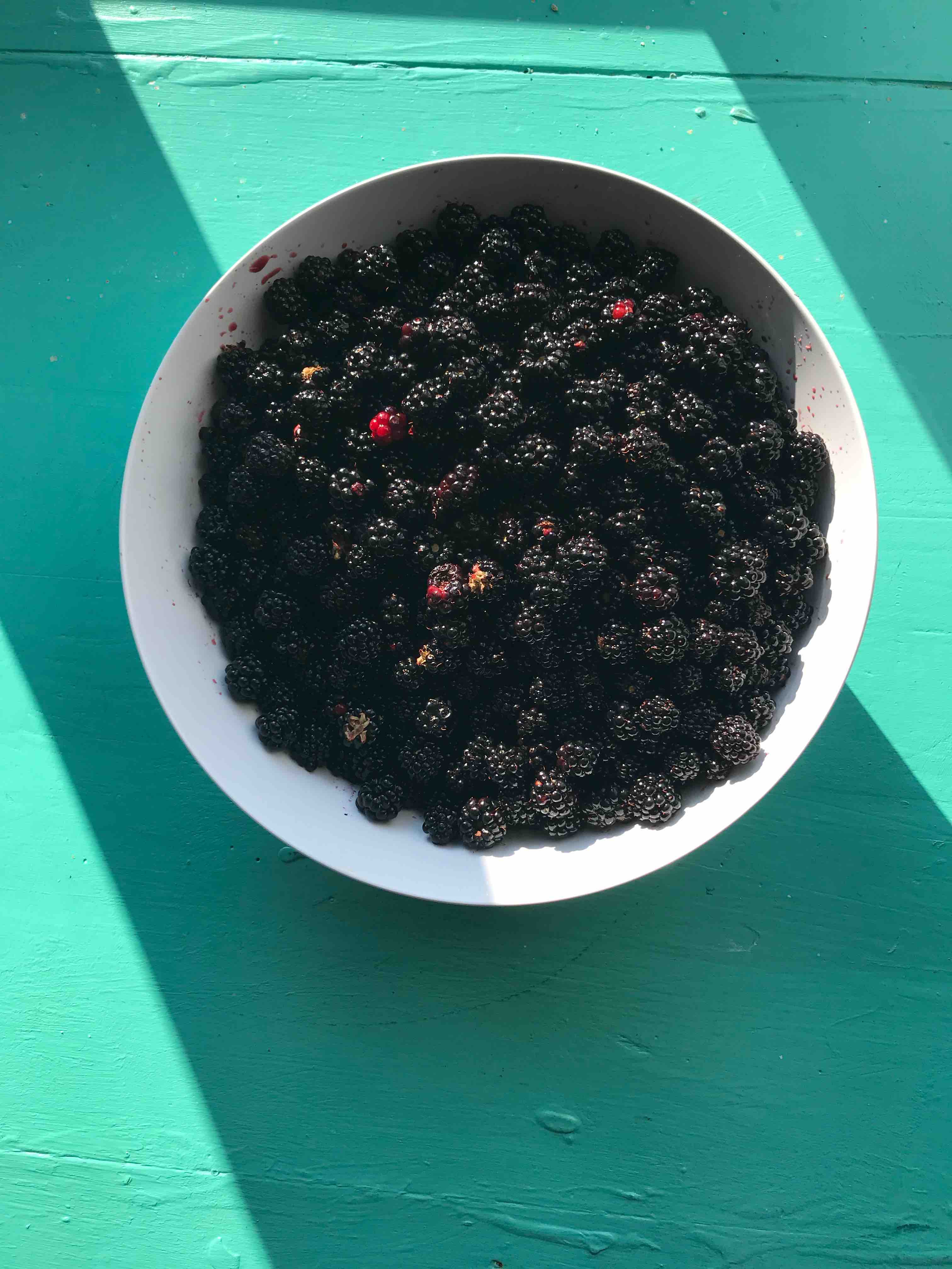 confiture-de-mure confiture-de-mure