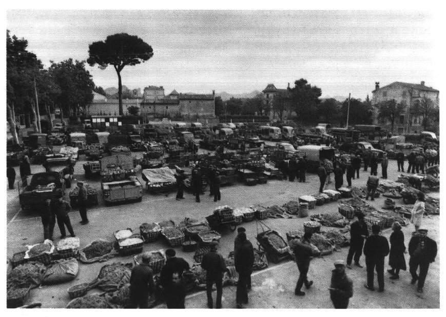 marché-des-maraichers-à-Saint-Rémy-de-Provence